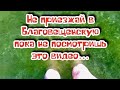 Благовещенская. Вся правда о этом курорте. (Папа Может)