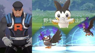 《Pokemon GO》遇見電飛鼠！對戰火箭隊克里夫！暗影姆克兒進化暗影姆克鷹！GO對戰超級聯盟獎勵！エモンガ Emolga！Team GO Rocket！