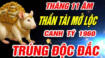 Thần tài mở lộc Tuổi CANH TÝ 1960 NHẬN VẬN MAY CỰC ĐỎ CỰC GIÀU đúng Tháng 11 âm lịch 2025