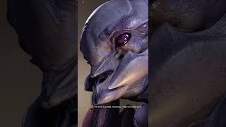 The Endless Will Return haloinfinite halo