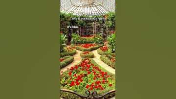 Unleash Your Adventurous Side with these Fun Activities in Pittsburgh! #pittsburgh #generatenext