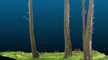 Terrestrial Laser Scanner based 3D point clouds