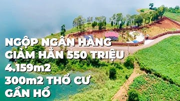 (Đã Bán)Ngộp Ngân Hàng Chú Tám Giảm Giá Cần Bán Nhanh Đất Vườn Sẵn 300m2 Thổ Cư Ở BR-VT