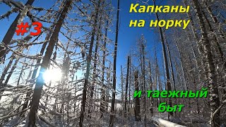 В тайгу на 4 дня/добавили капканы на норку/таёжный быт/3 серия