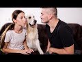Jealous Dog Won't Let Me Kiss My Wife!