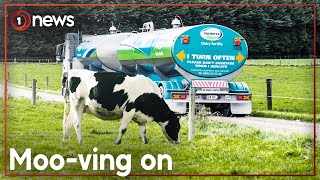 Fonterra ditches some of its best known brands | 1News