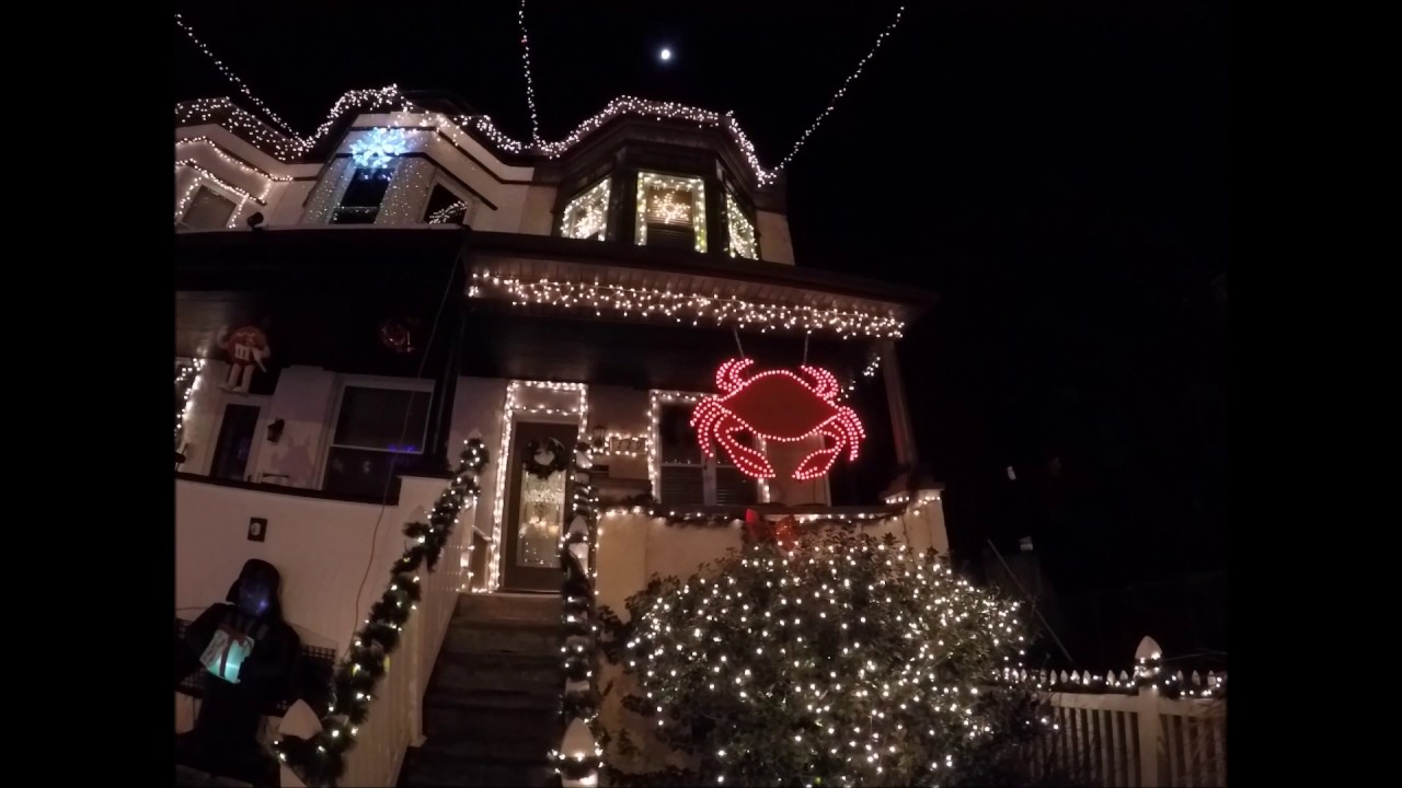 Walking in an essex wonderland photo 51