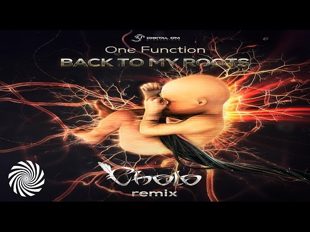 One Function - Back to My Roots