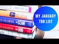 My January TBR