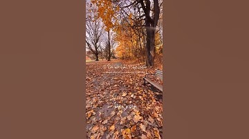 قران كريم ارح قلبك وسمعك #قران_في_دقيقة #اسلام_صبحي #quran #قرآن @قران_في_دقيقة
