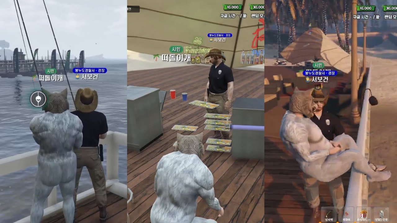 떠돌이 개, 북실이의 삶.