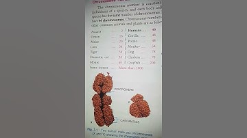 Class 10 ICSE Samester 1 Biology Important Topics MCQ #tilmapur @sirtarunrupani