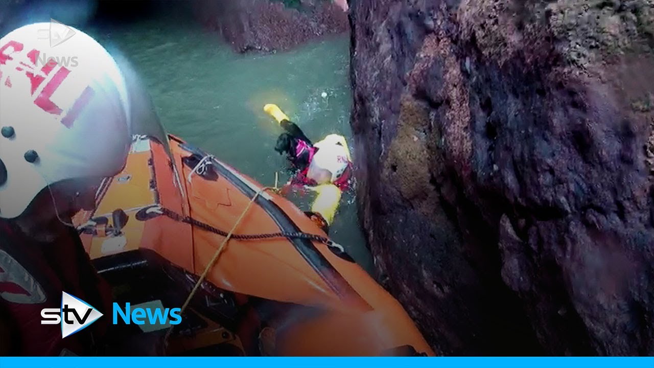 Dog rescued by RNLI lifeboat volunteers after falling from cliffs - YouTube
