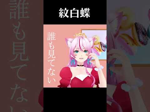 いいことしよ♡？【紋白蝶 feat.石原慎也 (Saucy Dog)  / TOKYO SKA PARADISE ORCHESTRA】 #shorts #vtuber