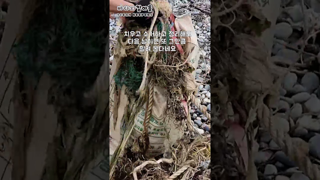#shorts 경남 거제시 학동 흑진주 몽돌해변 해양쓰레기 실태