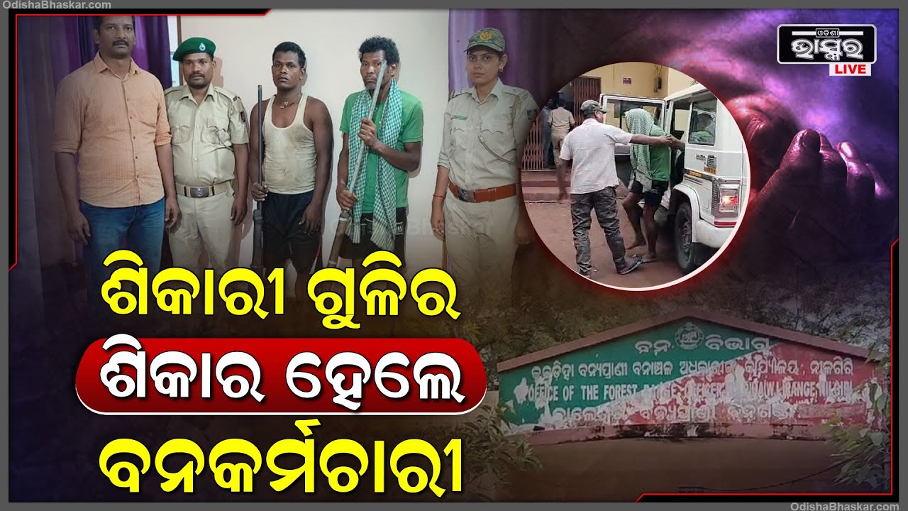 ଶିକାରୀଙ୍କ ଗୁଳିରେ ଶିକାର ହେଲେ ବନକର୍ମଚାରୀ , ଉଭୟ ମୁହାଁମୁହିଁ ହୋଇଥିବା ବେଳେ ଏଭଳି ଅଘଟଣ ଘଟିଛି