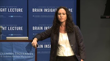 Learning from experience: How our brains remember the past and shape our future