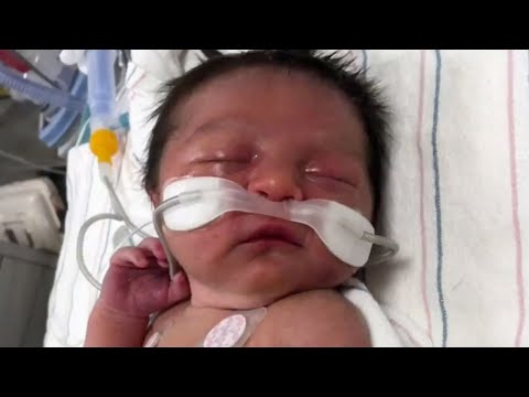 Hours-old baby abandoned in Maryland woods found by passerby, hospitalized in stable condition