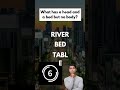 Only 1% Can Solve This Riddle in 5 Seconds 🤯 | Mind-Bending Brain Teaser #shorts