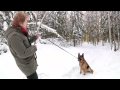 Hundcoachen Fredrik Steen. Sitt och stabiliseringsövning.