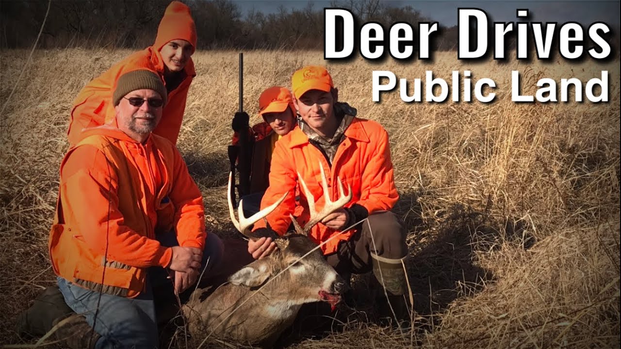 Gun Deer Hunting WI Public Land DEER DRIVES YouTube