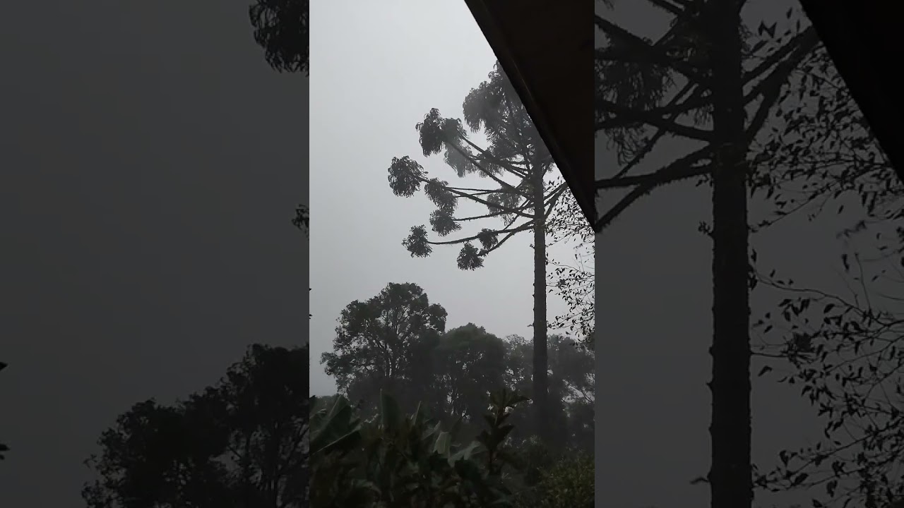 Temporal foi feio ate agora nada de energia...