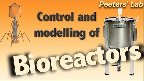 Control and modelling of bioreactors and biological processes