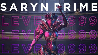 Saryn Prime Vs. Level 9999 Steel Path Showcase Warframe Level Cap Builds