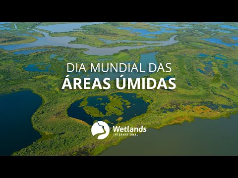 Vídeo: Por que as áreas úmidas devem ser preservadas?