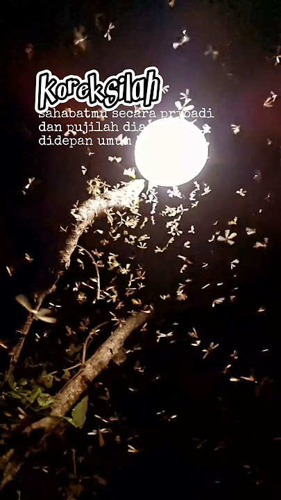 Koreksilah Sahabatmu #storytime #sahabat #noah #peterpan