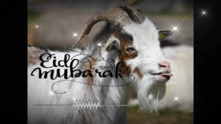 Bakra Eid Special Status 2021/?Eid Ul Adha Whatsapp Status/?Eid Mubarak Status 2021/Eid Mubarak Song