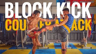 Block kick and counter attack training