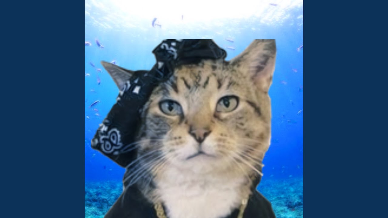 Guarda Universal Mind su YouTube Guarda Universal Mind su YouTube