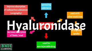 What Is Hyaluronidase | Hyaluronidase Injection | Hyaluronidase Medical Uses |