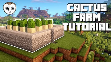 Minecraft: Automatic Cactus Farm | EASY Tutorial (NO ZERO TICK!) (1.15+)
