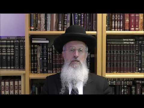 הרב אברהם יוסף שליט"א חול המועד נקראים מקראי קודש