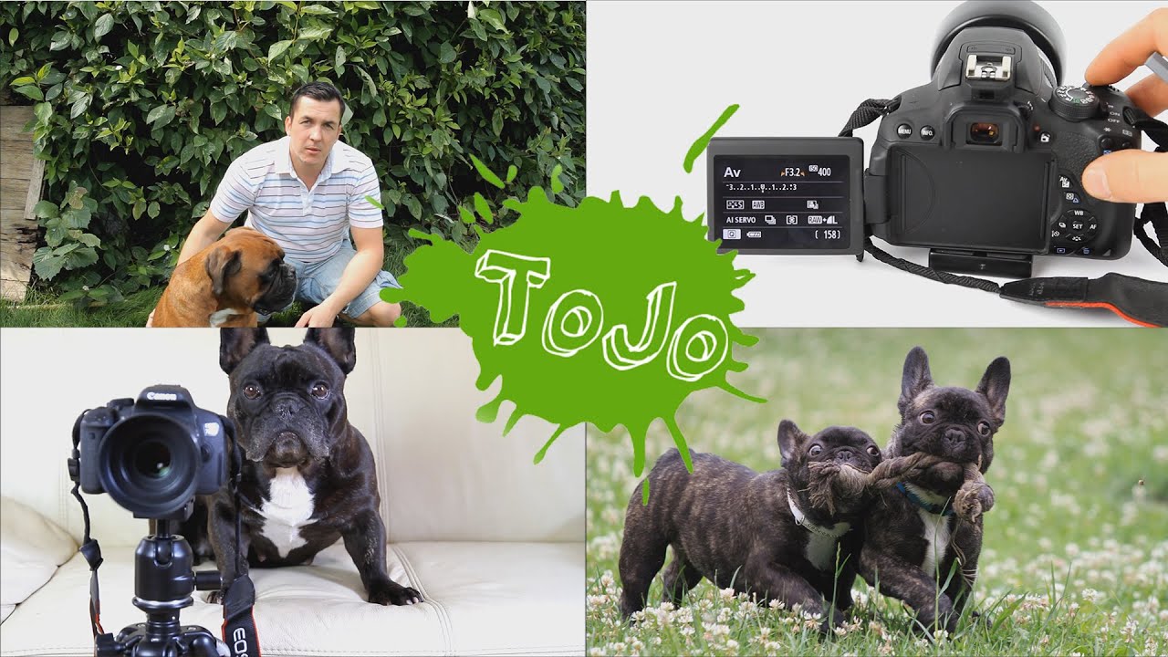Tiere In Der Bewegung Fotografieren So Geht S Youtube