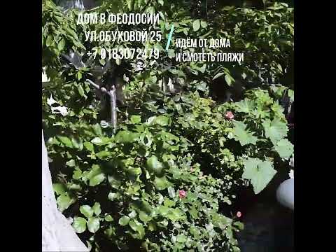 Обзор дома в Феодосии ул.Обуховой 25. Как идти к морю. Городская Набережная. Городские пляжи. Крым