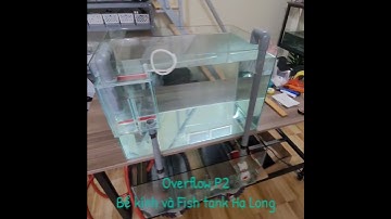 Overflow bể cá - Lọc tràn dưới không cần khoan bể chính P2