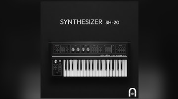 Attracktive - SH-20 | Raw 70