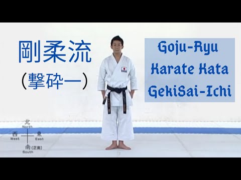剛柔流 [撃砕第一] Goju-Ryu Karate Kata GEKISAI-ICHI || Attack