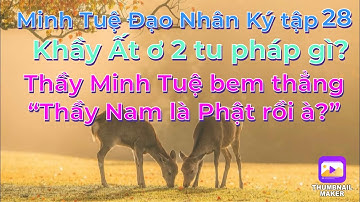 Minh Tuệ Đạo Nhân Ký tập28#Thầy MT bem thẳng:”Thầy Nam là Phật rồi à?”/Khầy Ất ơ 2 tu pháp gì?