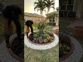 How to Build a Circular Flower Bed (DIY Landscaping Ideas)