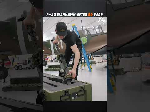 World War II Aircraft Comes Alive Again