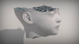 Shota Maehara 2018 Reel