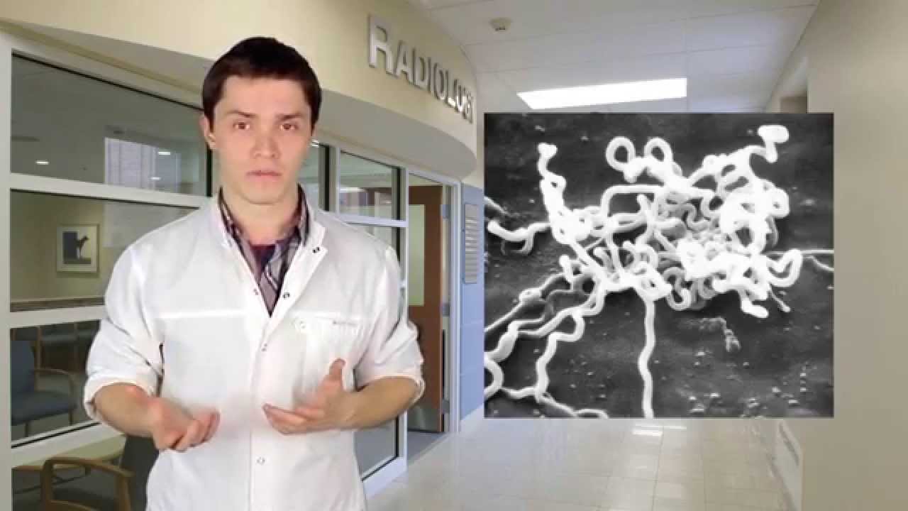 Доступная медицина s3e4 Венерические заболевания