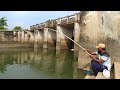 Fish hunting || Amazing fishing catching the catfish