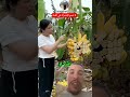 طريقة ازالة الموز في تايلاند