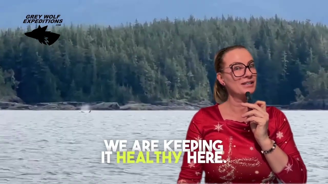 What’s the price of a 4-day tour | Orca Camp Vancouver Island