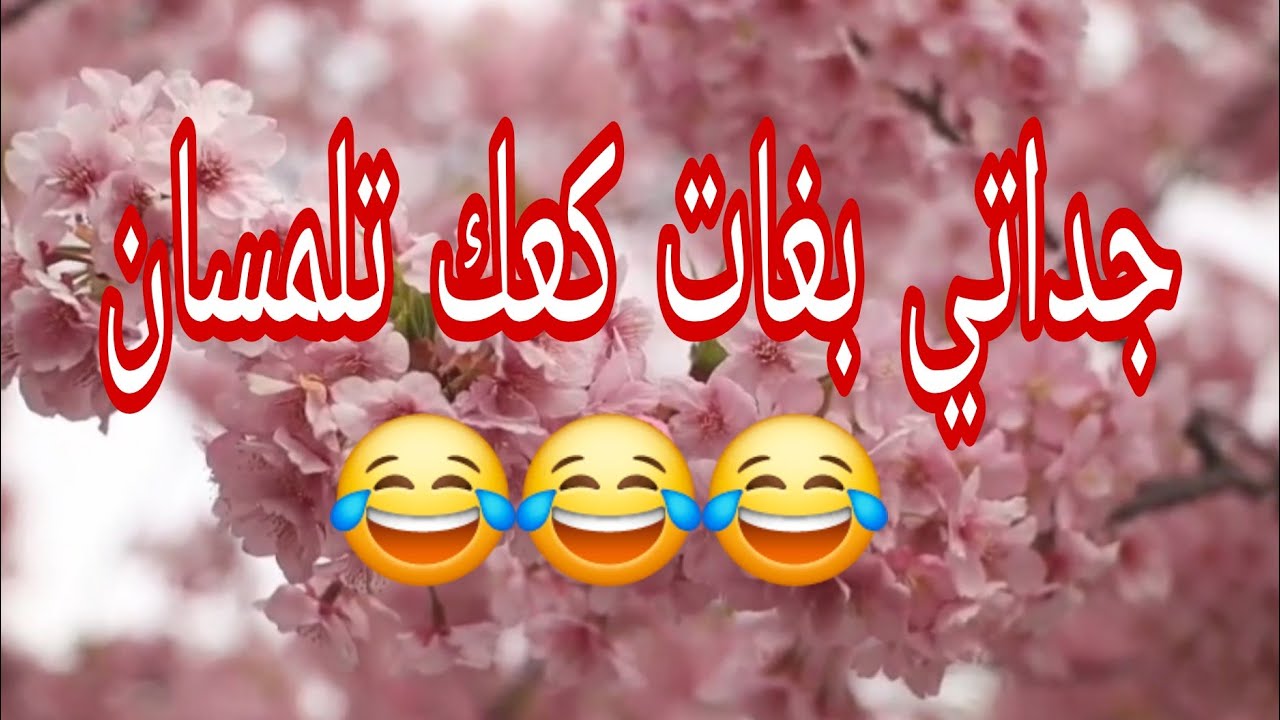 حكاية نوال مع كعك تلمسان هههه..
